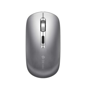 Ασύρματο Αθόρυβο Ποντίκι Devia Lingo Series B/T+2.4G