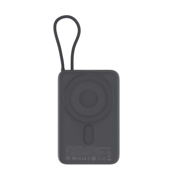 PW-BN-SMR-22W-FR