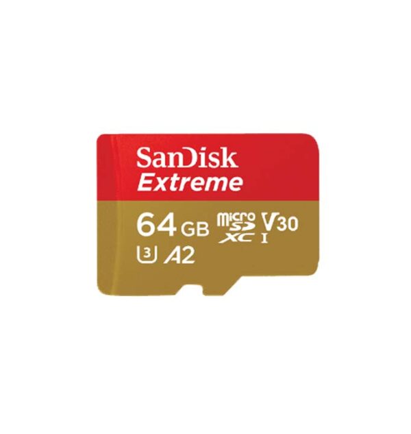 SD-EXTR-MSD-64GB