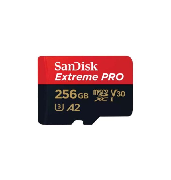 SD-EXTR-ULT-MSD-256GB